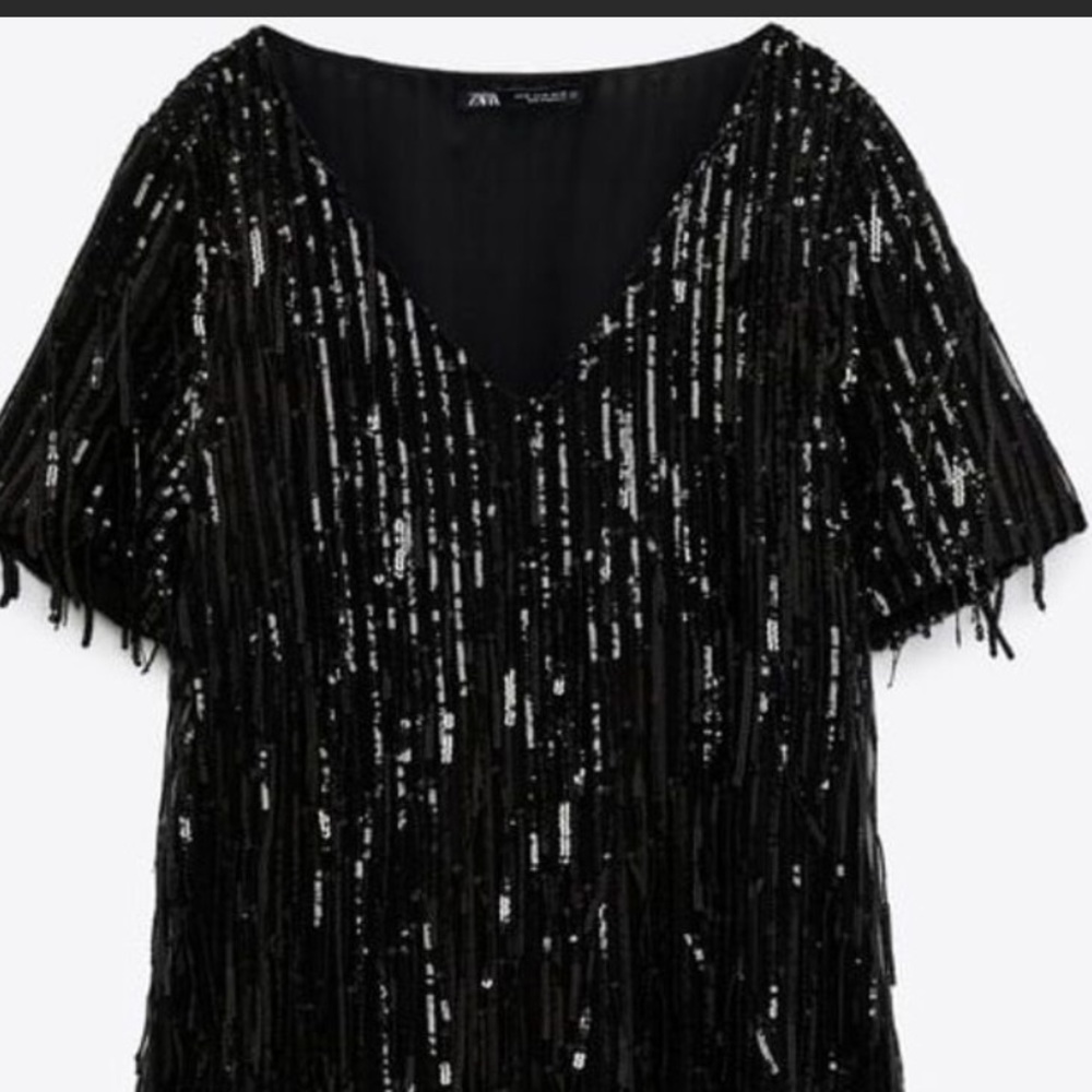 Zara Black Sequin Fringed Mini Dress
Short Sleeve Dress - Picture 7 of 11